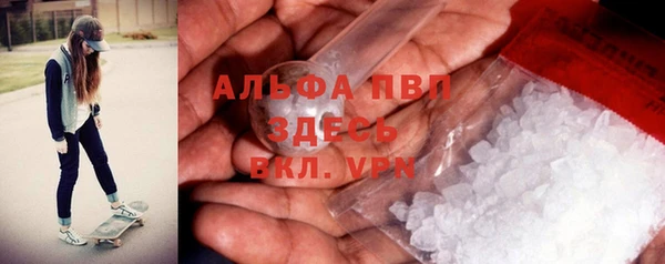 соль ск Ельня