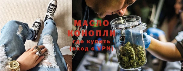 соль ск Ельня