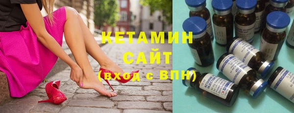 соль ск Ельня