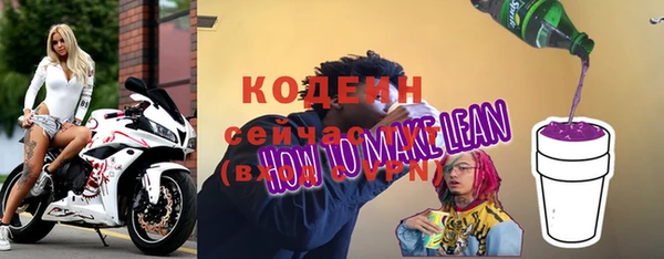 соль ск Ельня