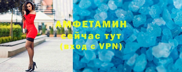 соль ск Ельня