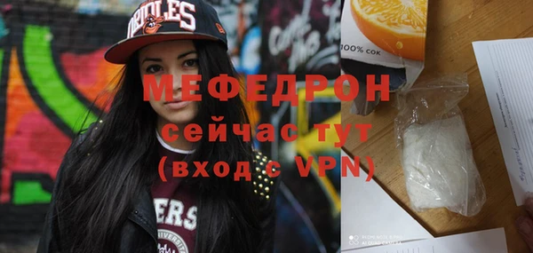 соль ск Ельня